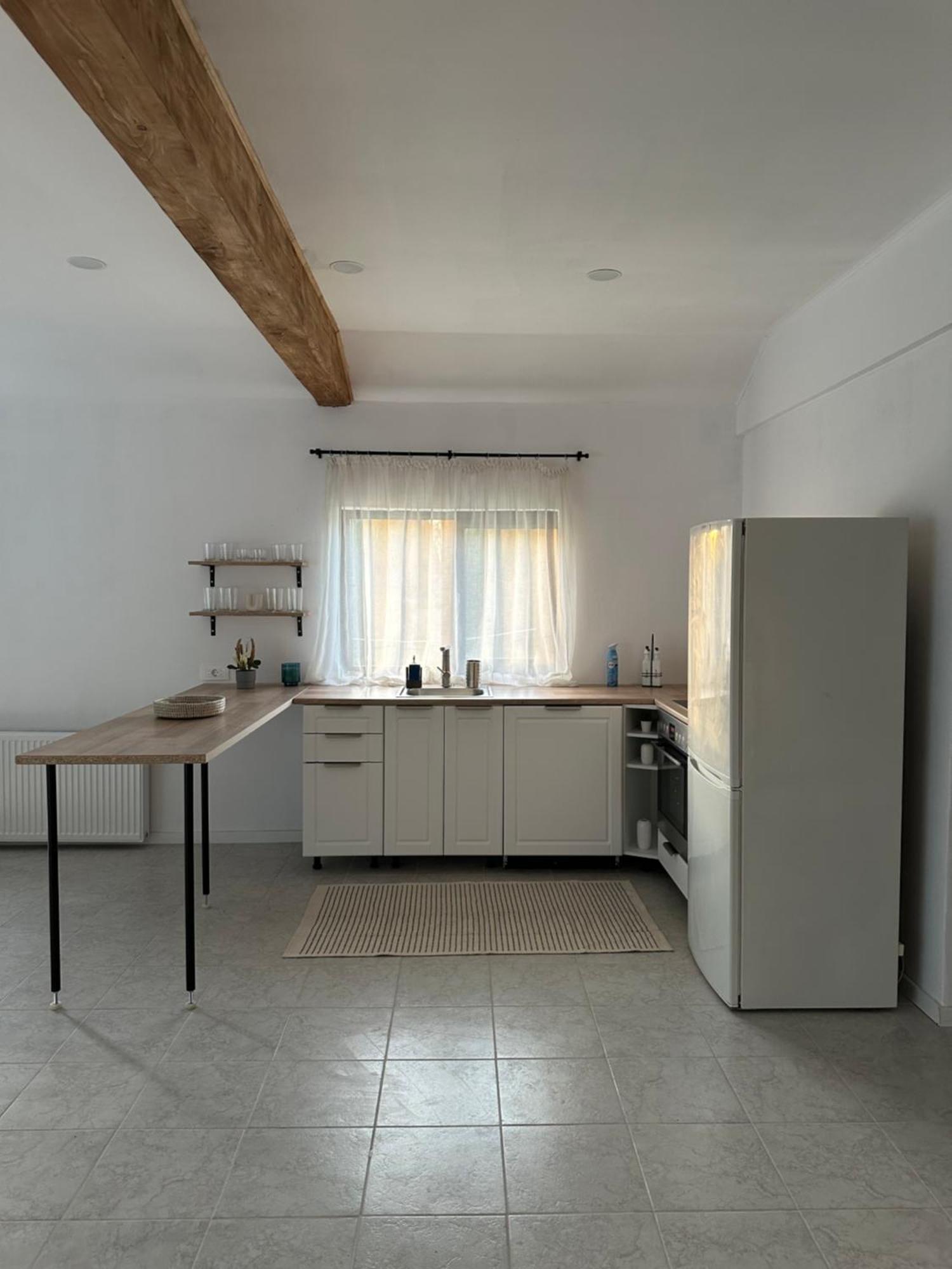 Cottage Bytheriver Arpaşu de Sus Екстериор снимка