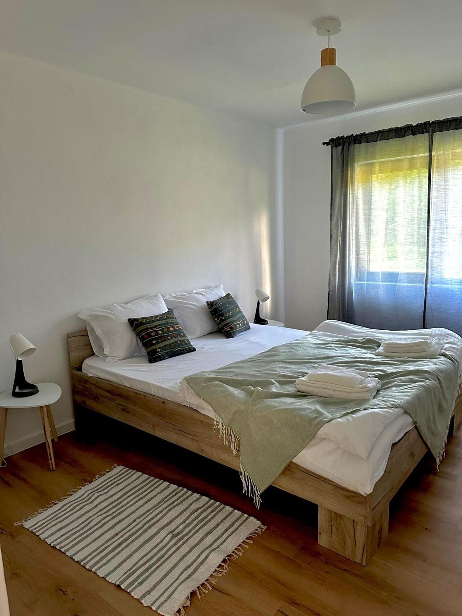 Cottage Bytheriver Arpaşu de Sus Екстериор снимка