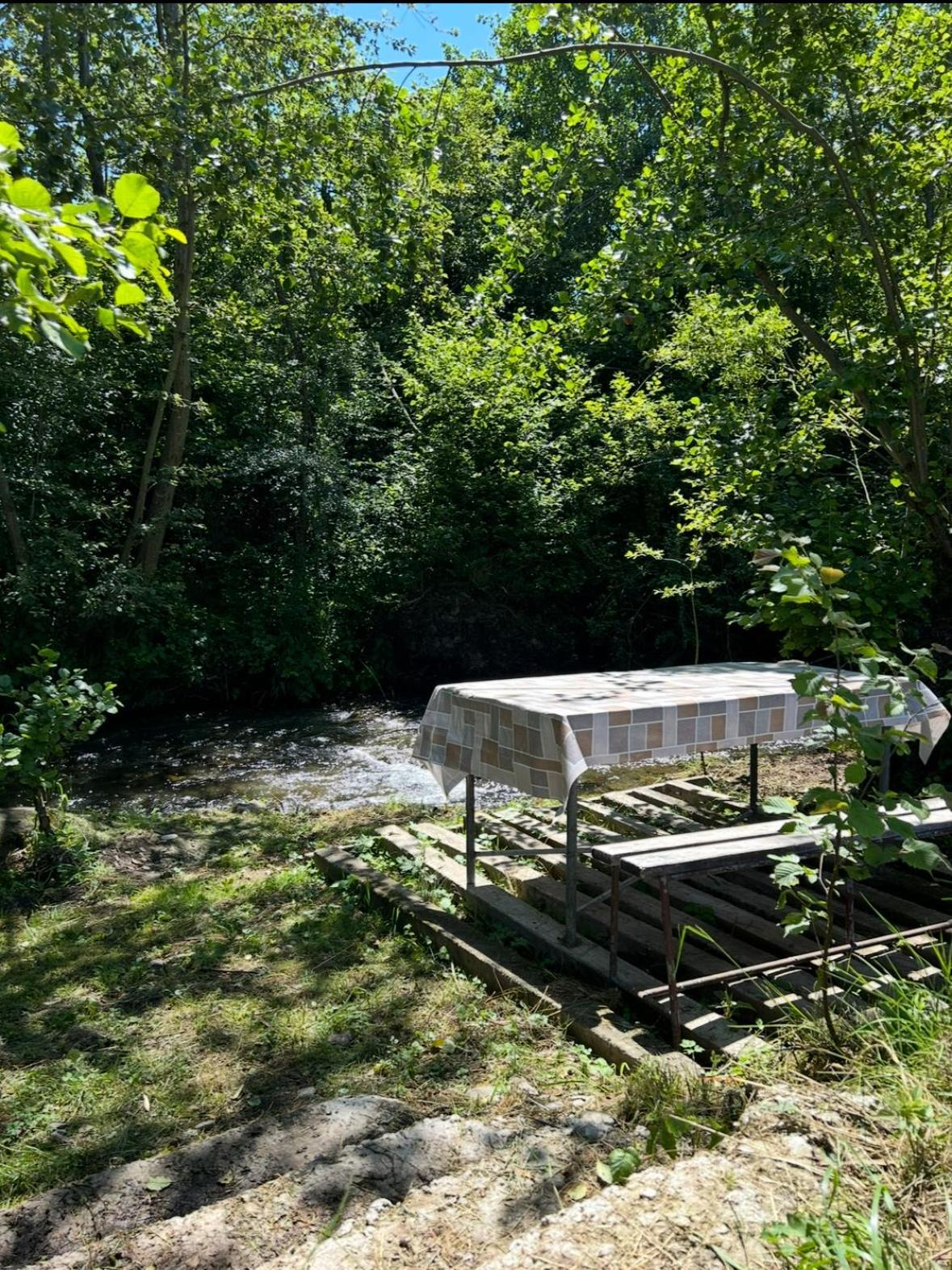 Cottage Bytheriver Arpaşu de Sus Екстериор снимка